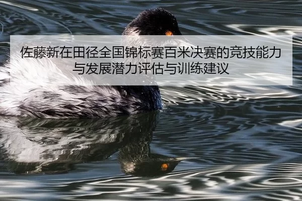 佐藤新在田径全国锦标赛百米决赛的竞技能力与发展潜力评估与训练建议